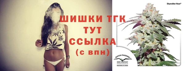 бошки Бронницы