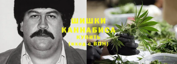 прущая мука Бородино