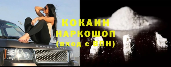 бошки Бронницы