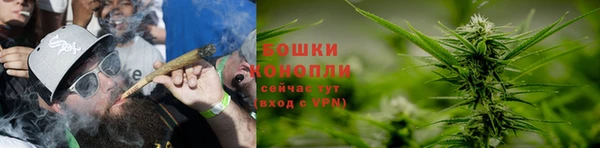 бошки Бронницы