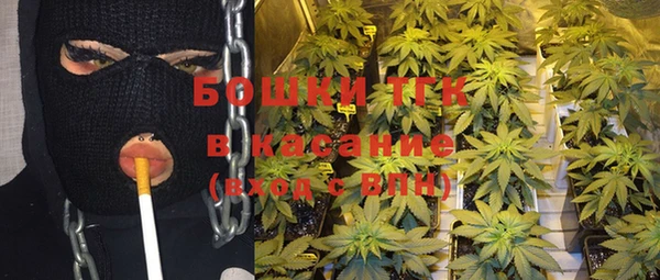 бошки Бронницы