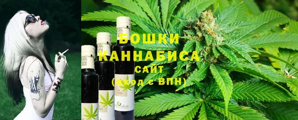 бошки Бронницы