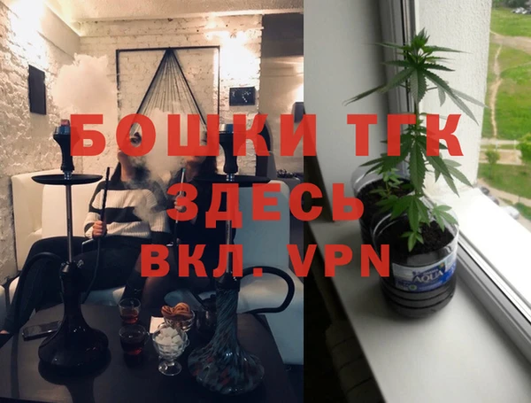 бошки Бронницы
